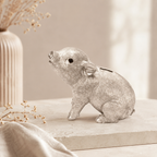 Sparschwein