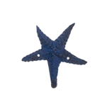 Haken Seestern blau