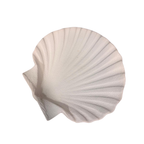 Schüssel Muschel creme