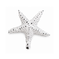 Haken Seestern weiß