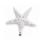 Haken Seestern weiß
