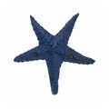 Haken Seestern blau