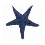 Haken Seestern blau