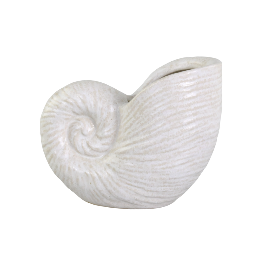 Vase Muschel
