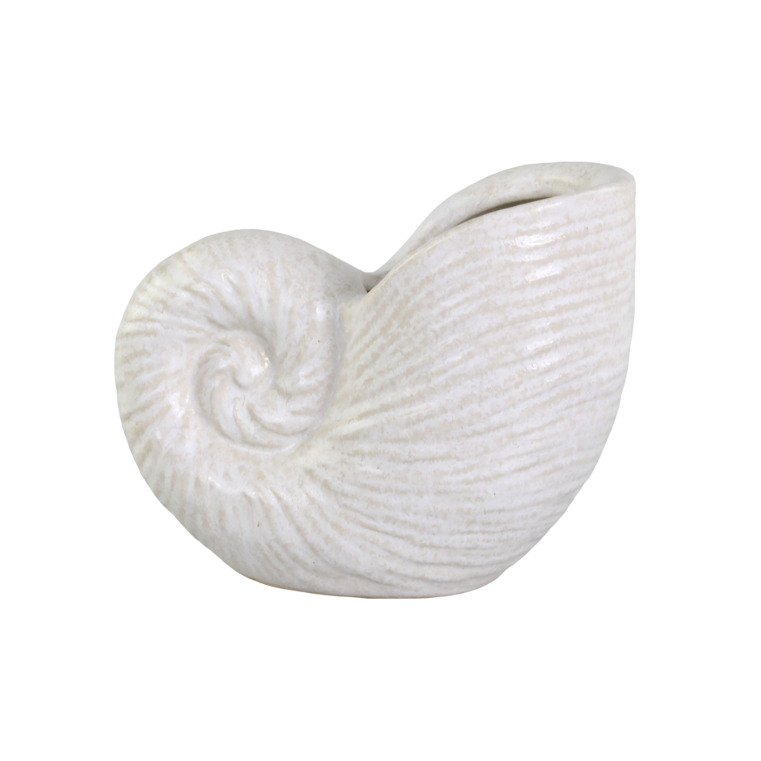 Vase Muschel